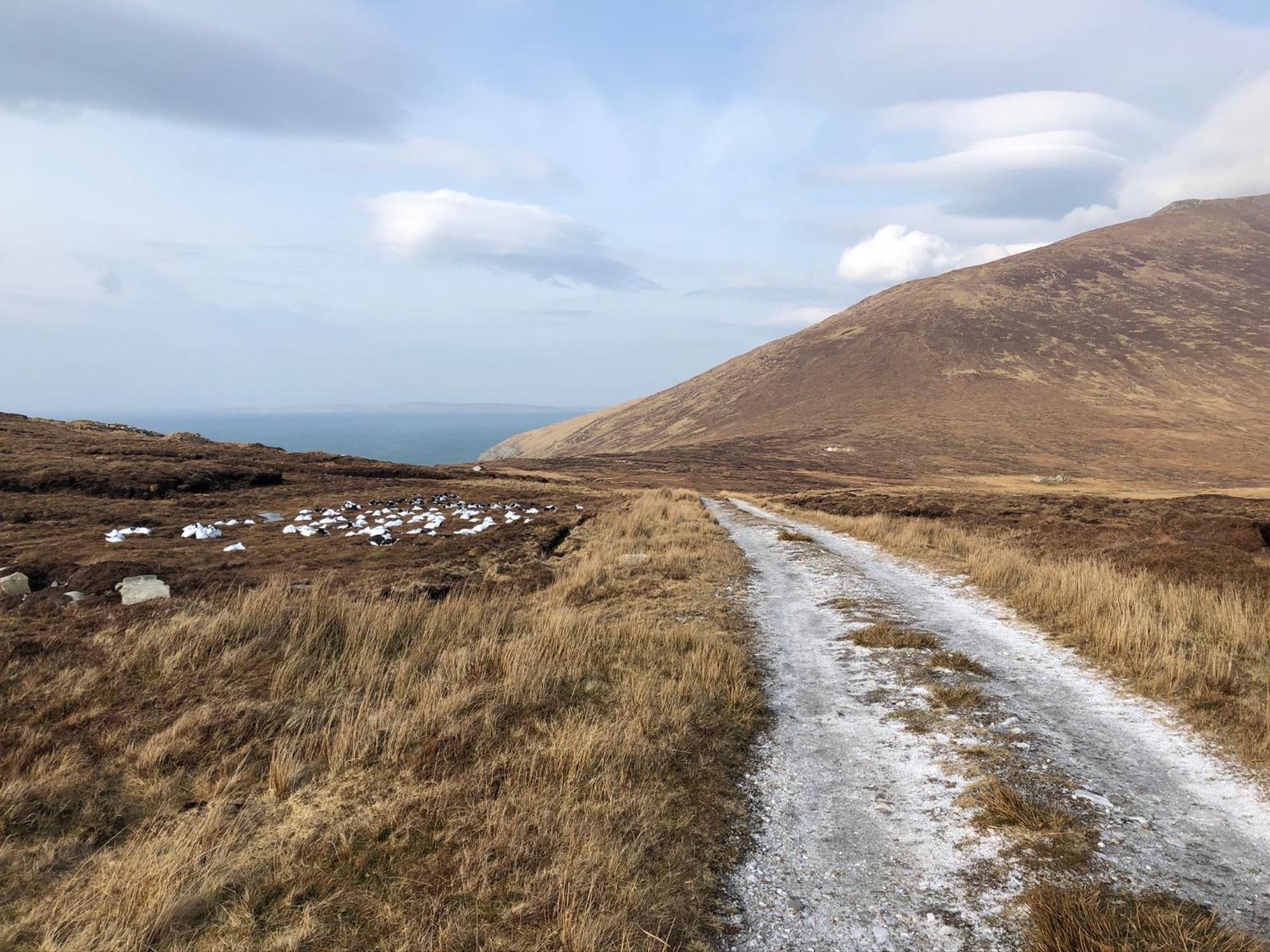 Teach Cruachan * Dooagh